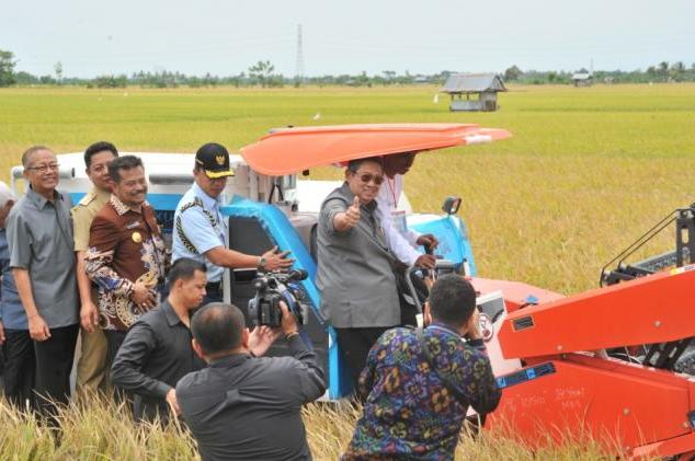SBY: Jangan Tergantung Sapi dan Kedelai Impor